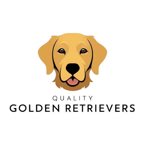 Golden Retrievers Home